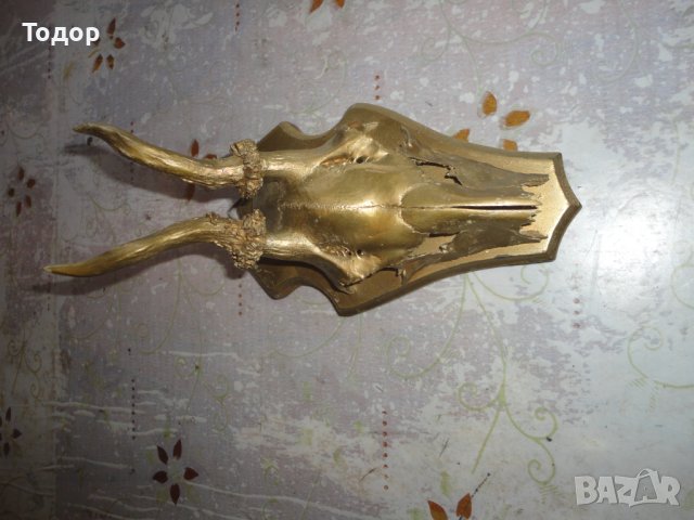 Старинен немски ловен трофей 3, снимка 3 - Антикварни и старинни предмети - 43726719