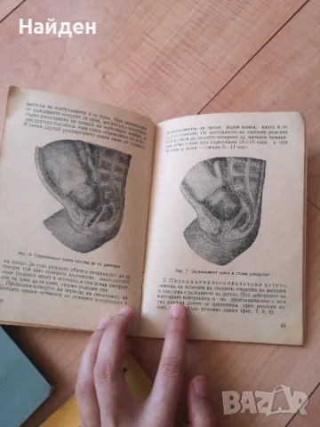 Старинни педагогически помагала, книги и учебници, снимка 8 - Специализирана литература - 47362574