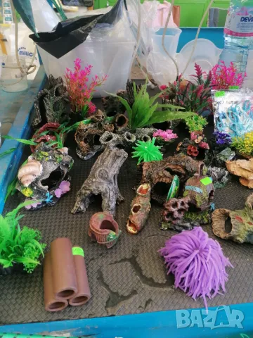 Продавам нов аквариум, снимка 16 - Аквариуми - 44923098