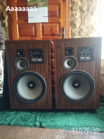 Cerwin-Vega MODEL 316R, снимка 2 - Тонколони - 50168580