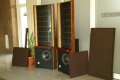 Тонколони Martin Logan ESL Monolith II , снимка 3