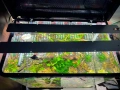 Пълен спектър LED фито лампа 2х56,5 см аквариум и разсад, снимка 9