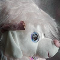 Плюшено куче- пудел с 3D очи, снимка 5 - Плюшени играчки - 35259556