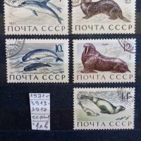 СССР -1971 г. фауна - морски бозайници, снимка 1 - Филателия - 37335885