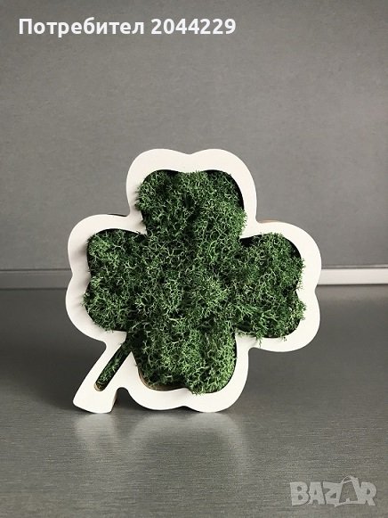 Детелина” със скандинавски мъх, снимка 1