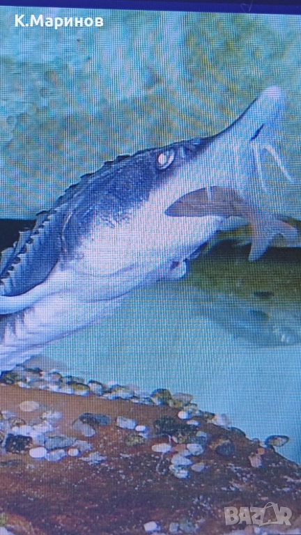 Търся съинвеститор по европроект., снимка 1