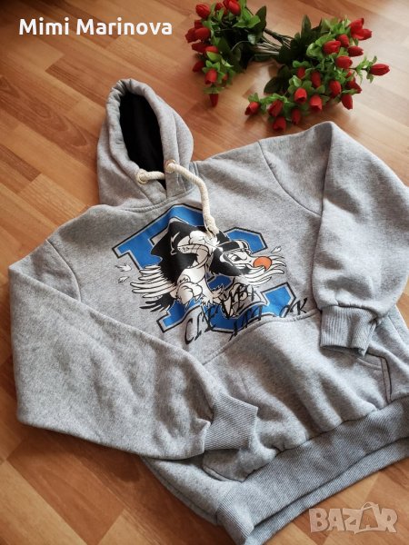 Суитшърт , снимка 1