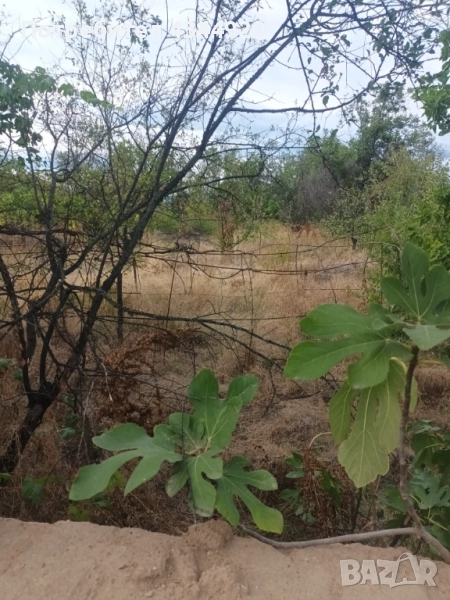 Къща С. Памидово , снимка 1