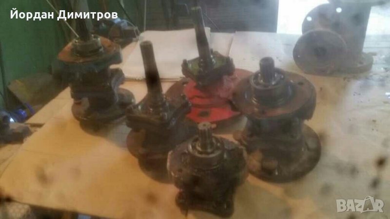 Акме руджерини  полуоски, снимка 1