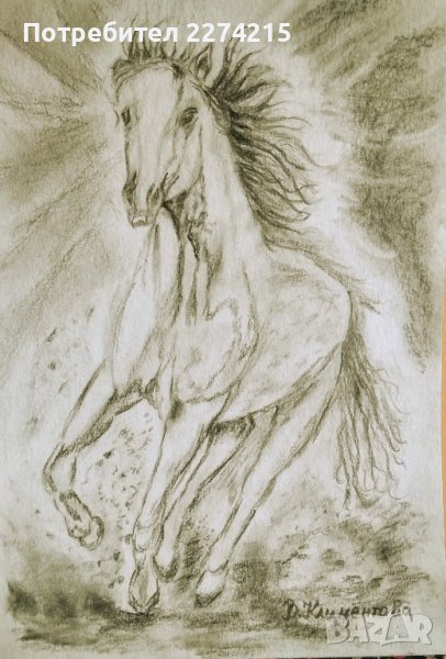 "Коня със звездата", снимка 1