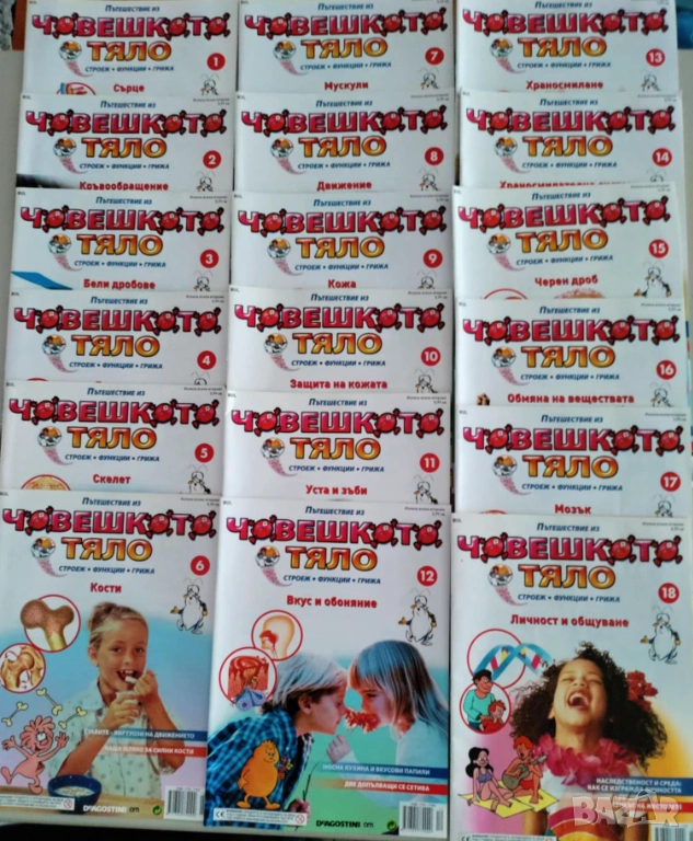 Пътешествие из човешкото тяло - пълен комплект, снимка 1