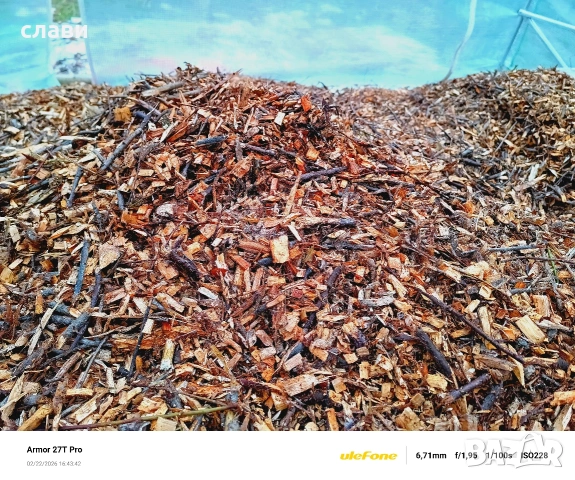 Мулч/Дървесен чипс / 100% Натурален , снимка 7 - Градински цветя и растения - 53591340