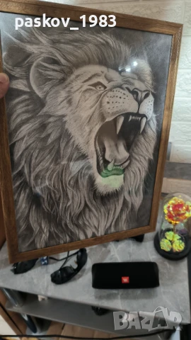 Ръчно рисувани на картон с рамка А3, снимка 2 - Декорация за дома - 51032948