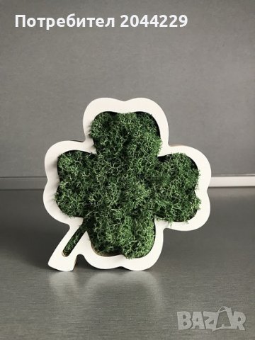 Детелина” със скандинавски мъх