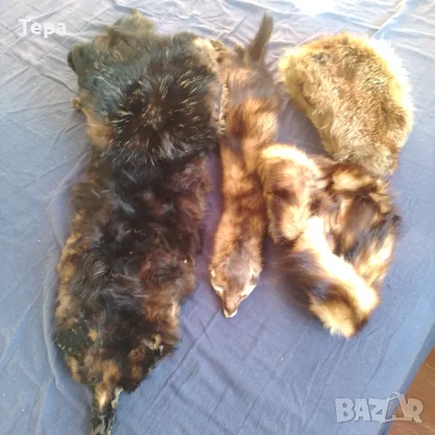 Кожени шапки и яки, снимка 7 - Други - 48861000