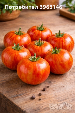 Семена за Стотинки, снимка 10 - Сортови семена и луковици - 52838410