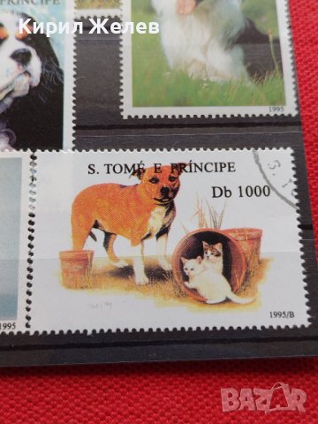 Пощенски марки чиста комплектна серия ЖИВОТНИ Кучета 1995г. за колекционери - 22031, снимка 6 - Филателия - 36641550