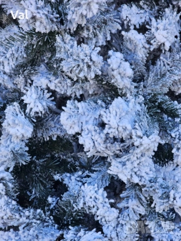 Изкуствена елха Kring Melbourne , цялата заснежена с метална стойка, снимка 11 - Декорация за дома - 52516572