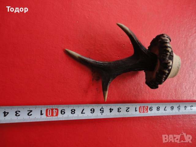 Рог рога закачалка 