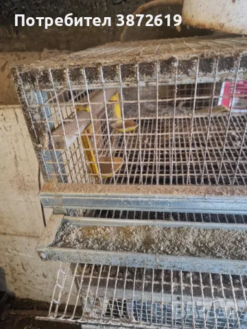 Клетки за пъдпъдъци, снимка 5 - За птици - 48926182
