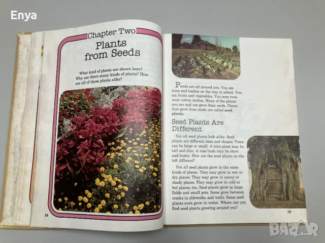 Детска енциклопедия на английски език Accent on Science, снимка 9 - Детски книжки - 50930127