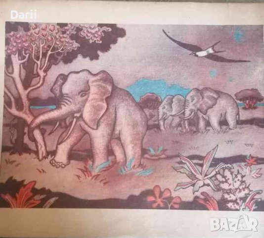 Лястовичке, от где идваш?- Веса Паспалеева, снимка 3 - Детски книжки - 40518706