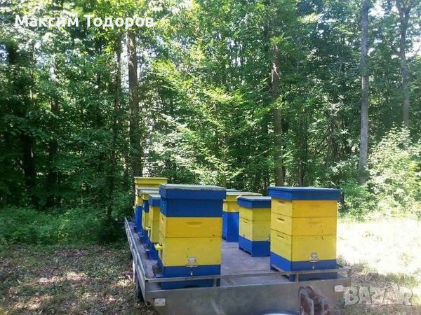 Билков мед, снимка 7 - Пчелни продукти - 38946723