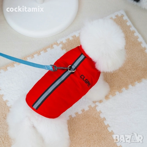 Яке за куче размер M