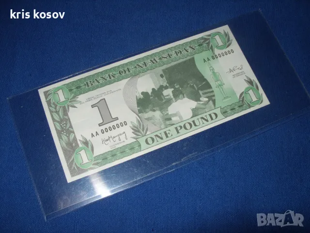 1 паунд Нов Судан 2002 г Неуловимите  банкноти на Нов Судан"