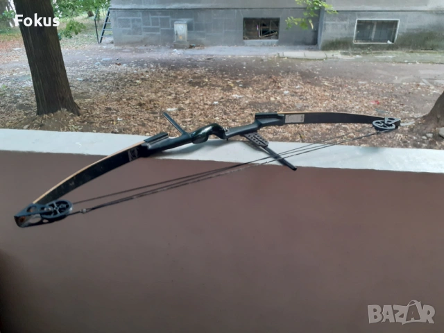 Американски спортен професионален лък Darton