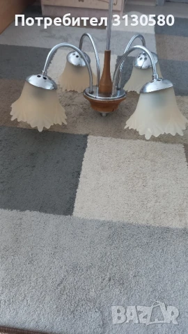 полилей  , снимка 2 - Полилеи - 50566303