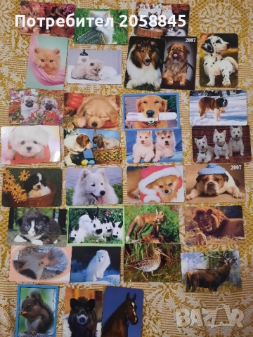 Календарчета с животни 2004 - 2008г.