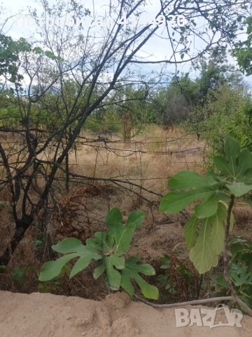 Къща С. Памидово 