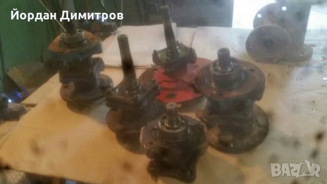 Акме руджерини  полуоски