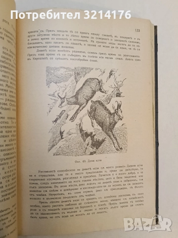 Животнитѣ от биологично гледище - Борис Митов (1935, Луксозна изработка, Отлично състояние), снимка 16 - Специализирана литература - 52773226
