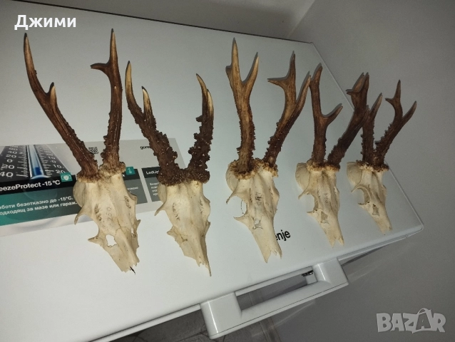 красиви срандаци, снимка 2 - Антикварни и старинни предмети - 52343793