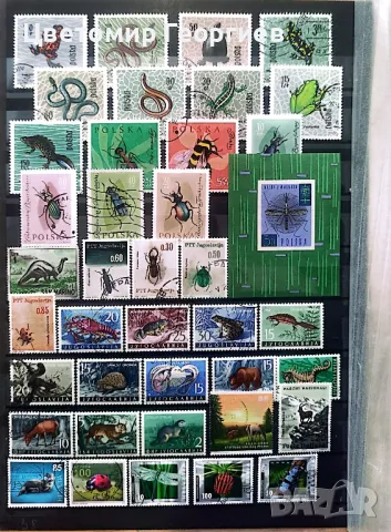 Животни 154 бр.марки. К.1, снимка 3 - Филателия - 48878418