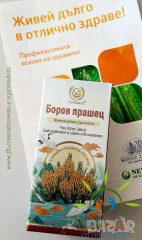 🌲 Боров прашец Нова Ера