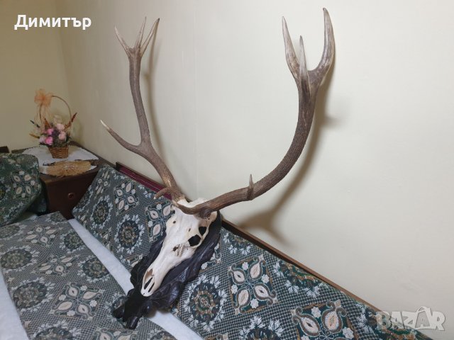 Трофей от голям благороден елен с поставка от дъб–ръчна дърворезба., снимка 3 - Антикварни и старинни предмети - 36803498