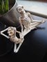 Две статуетки медитиращ скелет, снимка 1 - Статуетки - 43614569
