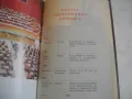 Тодор Живков Биографичен очерк Лукс кожа издание 1981г. със снимков материал ПЪРВО ИЗДАНИЕ, снимка 17