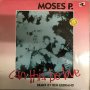 Moses P. ‎– Can This Be Love (Remix by Ben Liebrand) Vinyl , 12"