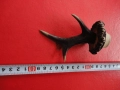 Рог рога закачалка , снимка 1