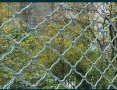 Плетена охранителна ръчна ролетка / ролетна врата размер за гараж  3,25/2,50м, снимка 2