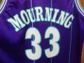 CHARLOTTE HORNETS ALONZO MOURNING CHAMPION NBA ОРИГИНАЛЕН ПОТНИК РАЗМЕР L JERSEY , снимка 4