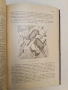 Животнитѣ от биологично гледище - Борис Митов (1935, Луксозна изработка, Отлично състояние), снимка 16