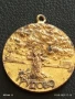 Медал от соца За АКТИВНА ОБЩЕСТВЕНА ДЕЙНОСТ ГРУДОВО за КОЛЕКЦИЯ 40352, снимка 2