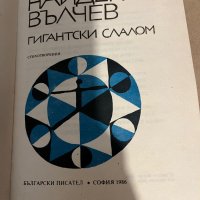 Гигантски слалом -Найден Вълчев, снимка 2 - Други - 38299988