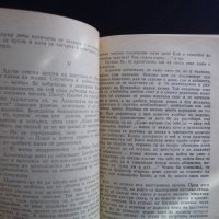 Обикновена история - Иван А. Гончаров литература проза роман, снимка 3 - Художествена литература - 43165427