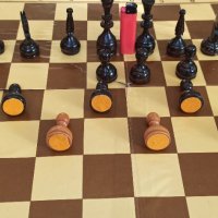 Шах за професионалисти , снимка 2 - Други спортове - 43467007